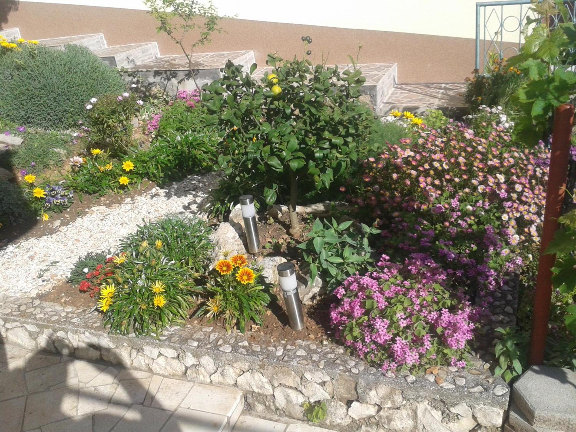 Apartments Zdenka Рогозница Екстериор снимка